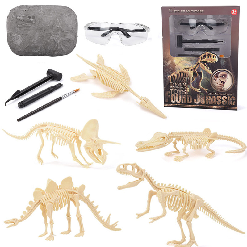 Model Kit For Girls - 恐竜化石発掘キット STEM 恐竜骨格模型発掘おもちゃ 男の子と女の子のための教育科学ギフト